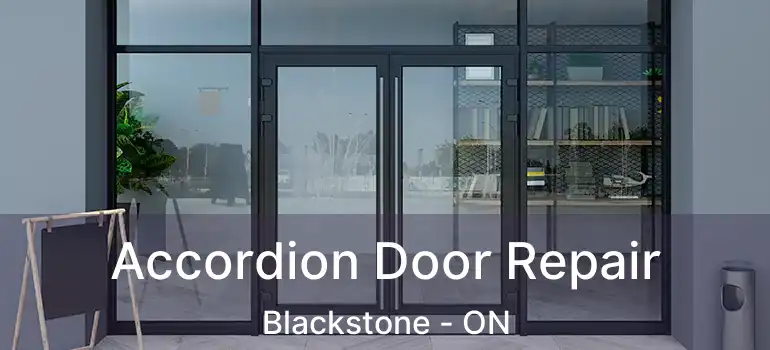  Accordion Door Repair Blackstone - ON