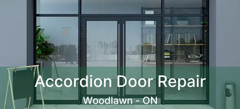  Accordion Door Repair Woodlawn - ON