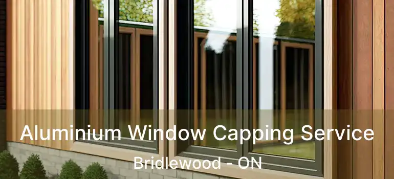  Aluminium Window Capping Service Bridlewood - ON
