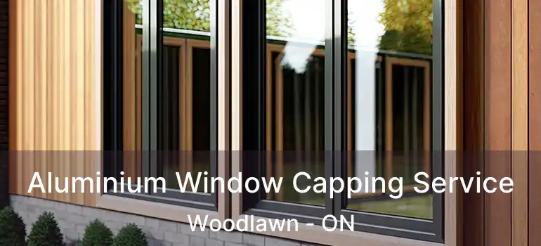  Aluminium Window Capping Service Woodlawn - ON