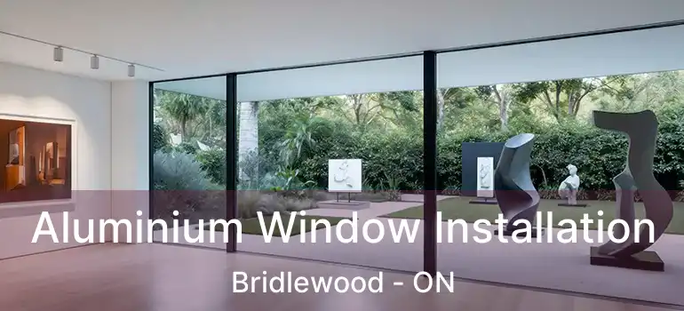  Aluminium Window Installation Bridlewood - ON