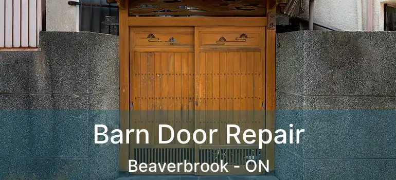  Barn Door Repair Beaverbrook - ON
