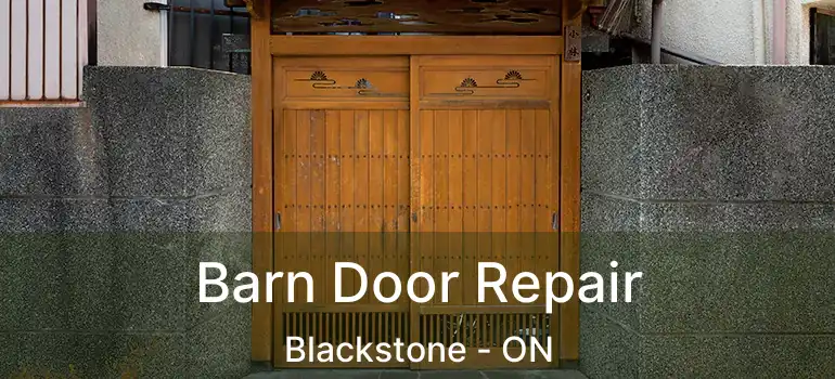  Barn Door Repair Blackstone - ON