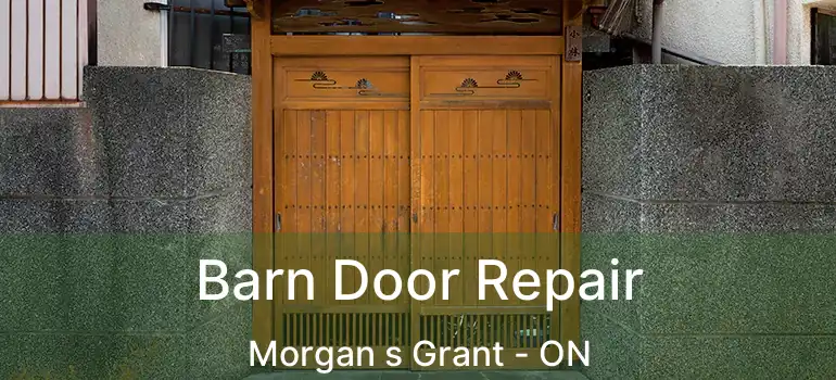  Barn Door Repair Morgan s Grant - ON