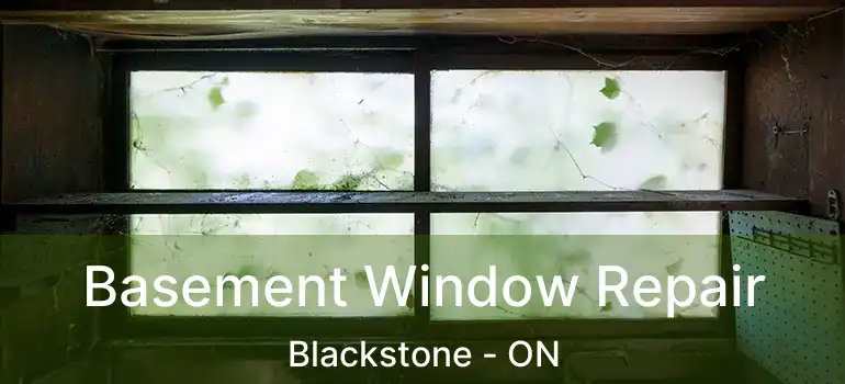  Basement Window Repair Blackstone - ON