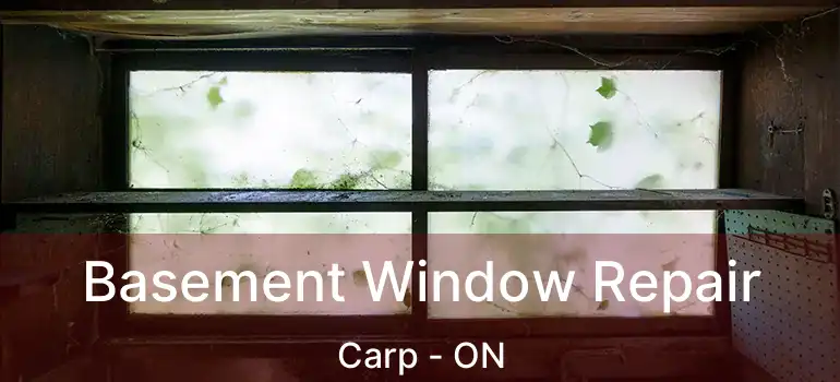  Basement Window Repair Carp - ON