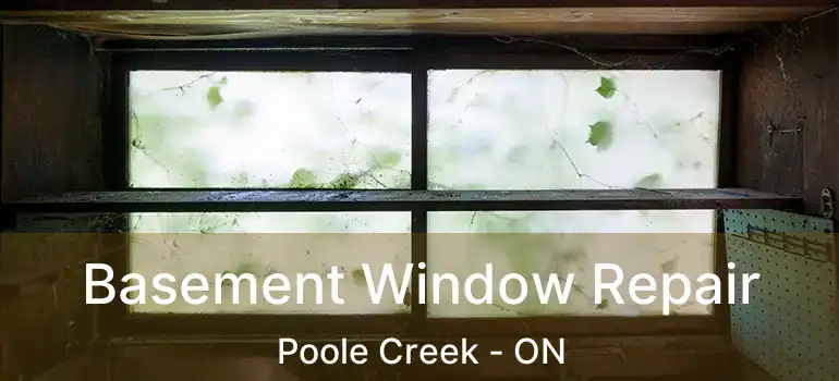  Basement Window Repair Poole Creek - ON
