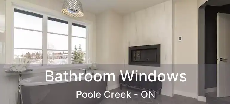  Bathroom Windows Poole Creek - ON