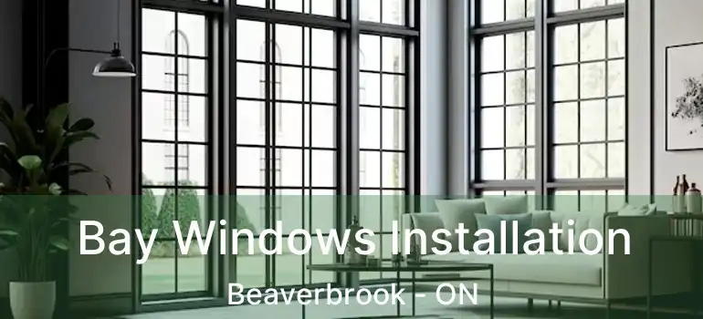  Bay Windows Installation Beaverbrook - ON