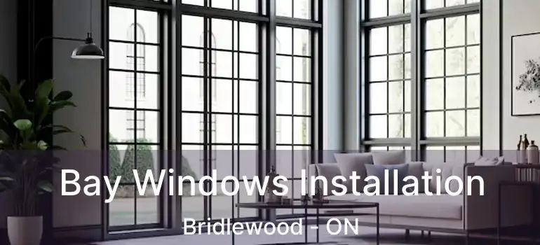  Bay Windows Installation Bridlewood - ON