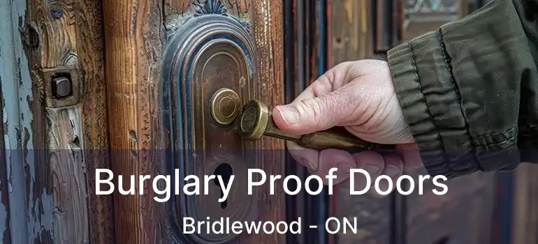  Burglary Proof Doors Bridlewood - ON
