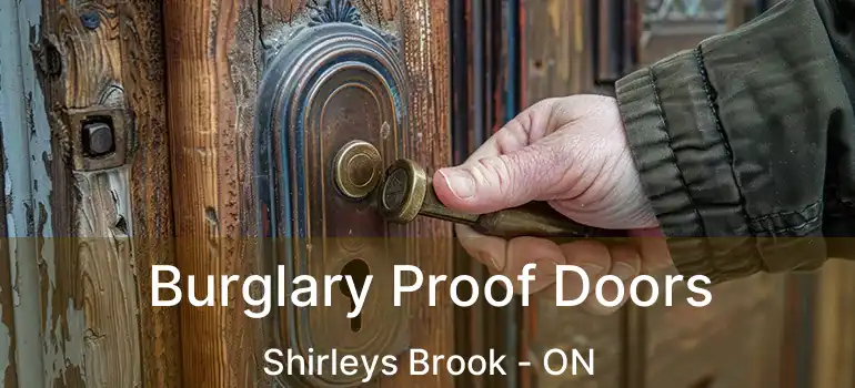  Burglary Proof Doors Shirleys Brook - ON