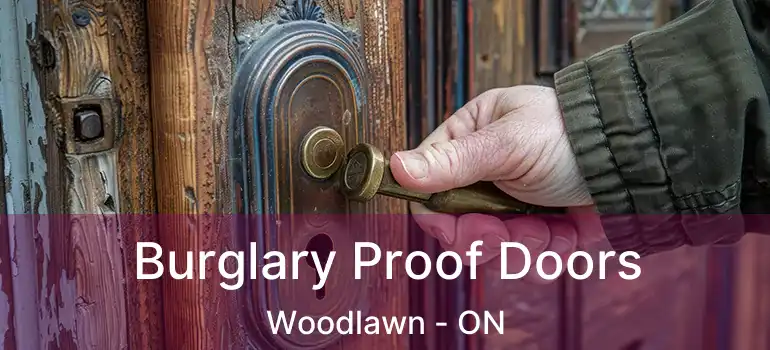  Burglary Proof Doors Woodlawn - ON