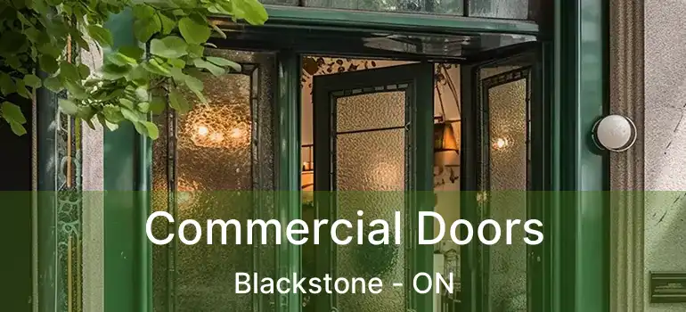  Commercial Doors Blackstone - ON