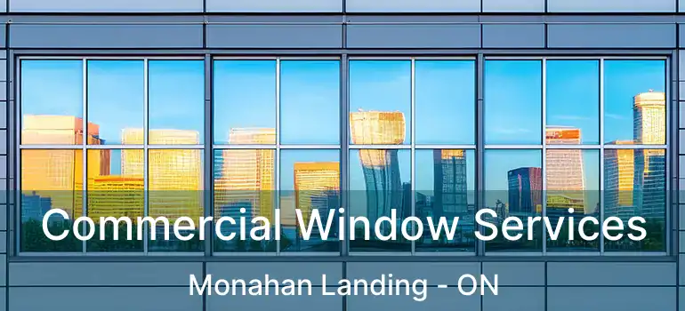  Commercial Window Services Monahan Landing - ON