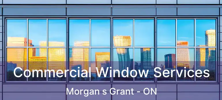  Commercial Window Services Morgan s Grant - ON