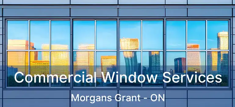  Commercial Window Services Morgans Grant - ON