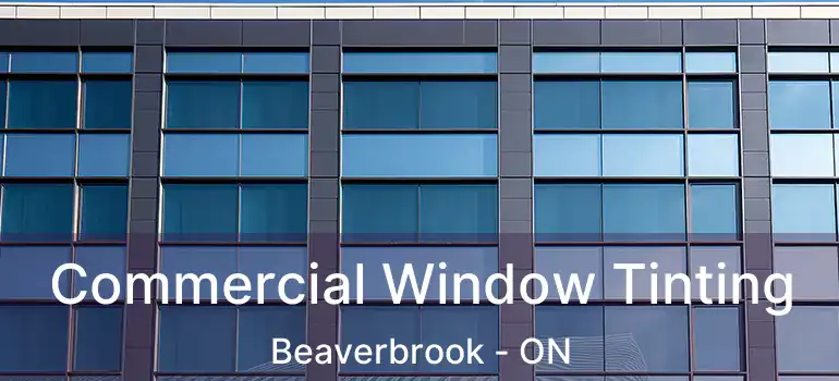  Commercial Window Tinting Beaverbrook - ON
