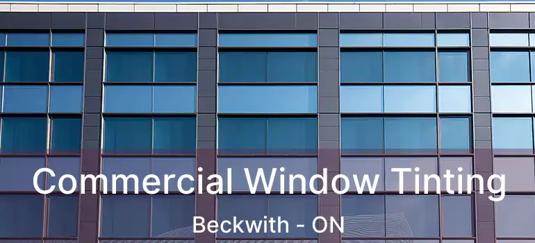  Commercial Window Tinting Beckwith - ON