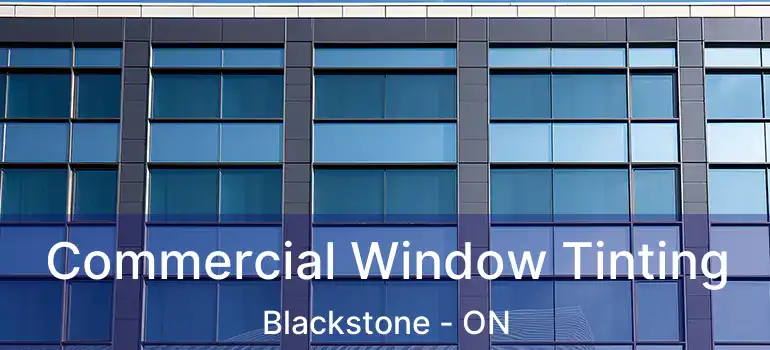  Commercial Window Tinting Blackstone - ON