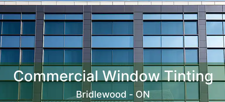  Commercial Window Tinting Bridlewood - ON