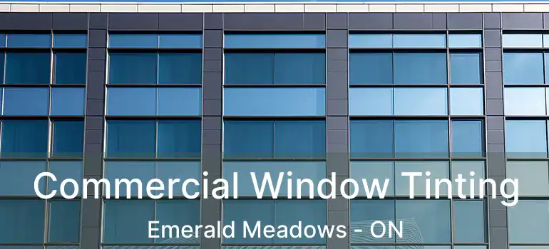  Commercial Window Tinting Emerald Meadows - ON