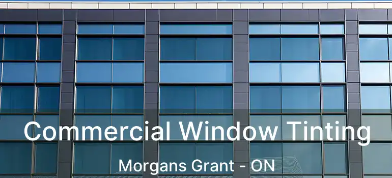  Commercial Window Tinting Morgans Grant - ON