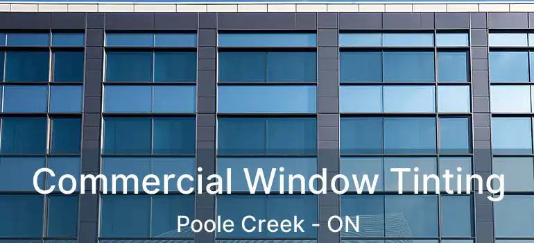  Commercial Window Tinting Poole Creek - ON