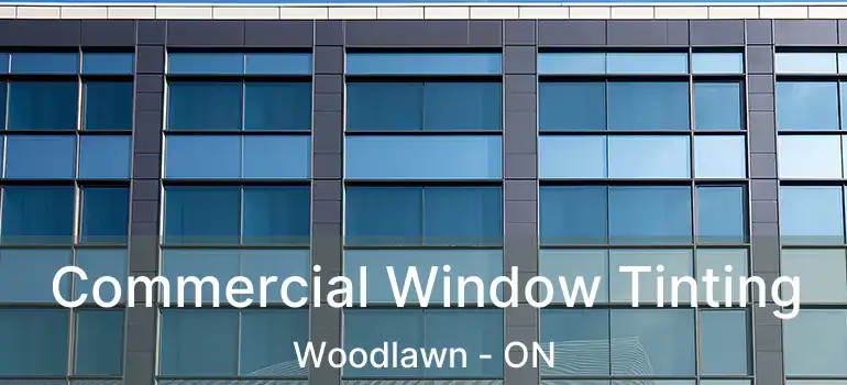  Commercial Window Tinting Woodlawn - ON