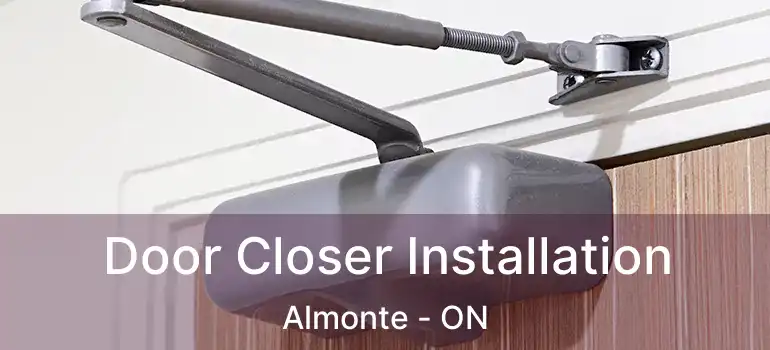  Door Closer Installation Almonte - ON