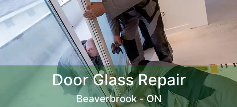  Door Glass Repair Beaverbrook - ON