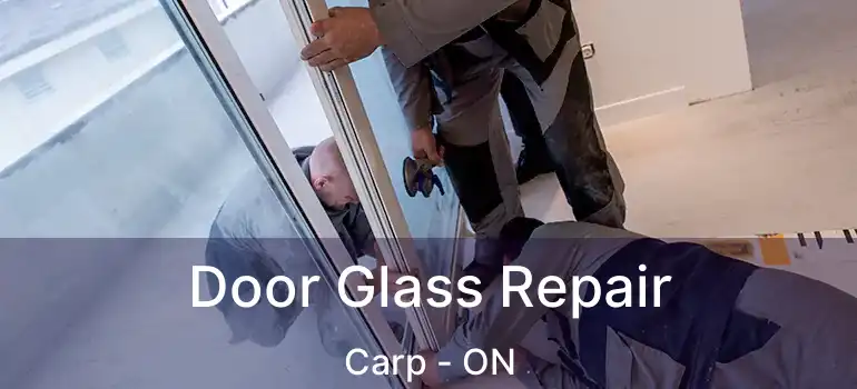  Door Glass Repair Carp - ON