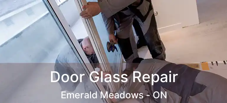  Door Glass Repair Emerald Meadows - ON