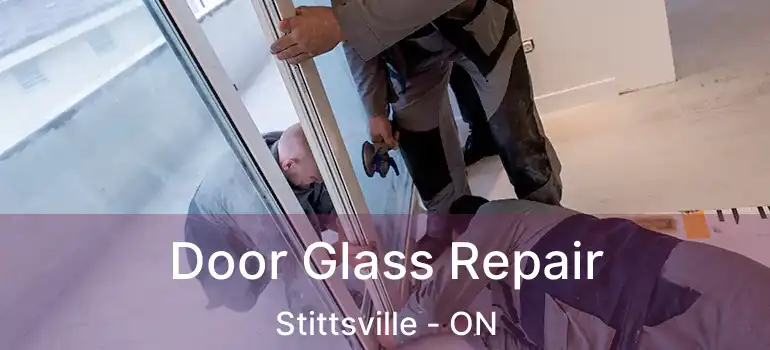  Door Glass Repair Stittsville - ON