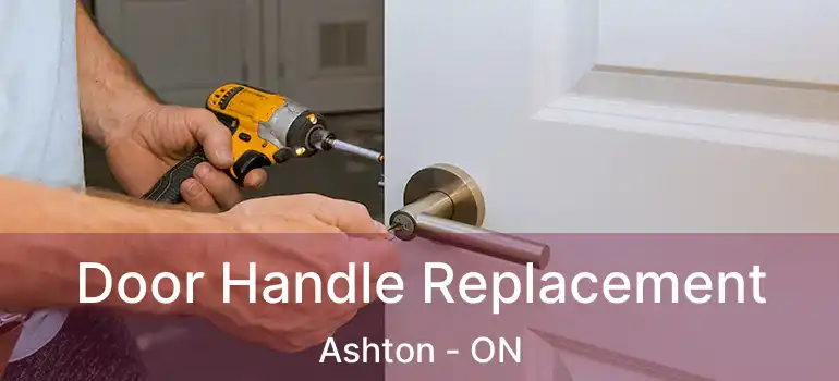  Door Handle Replacement Ashton - ON