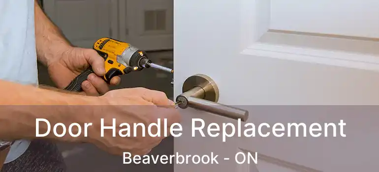  Door Handle Replacement Beaverbrook - ON