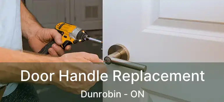  Door Handle Replacement Dunrobin - ON