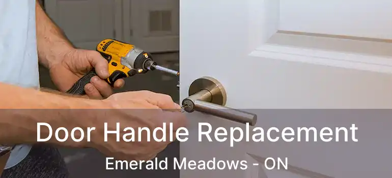  Door Handle Replacement Emerald Meadows - ON