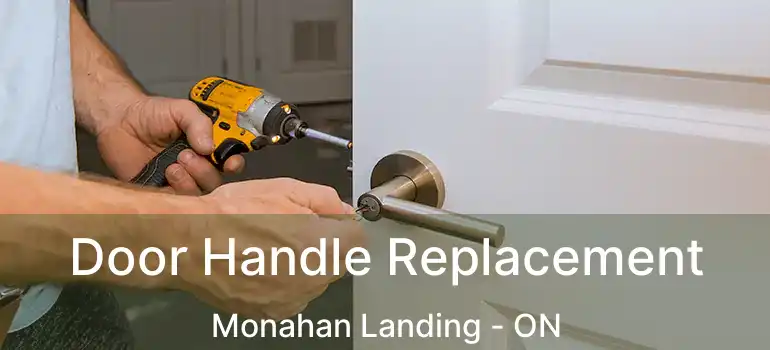  Door Handle Replacement Monahan Landing - ON