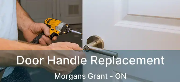  Door Handle Replacement Morgans Grant - ON