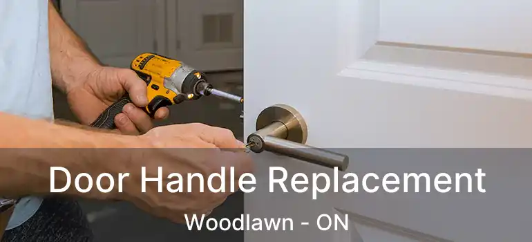  Door Handle Replacement Woodlawn - ON
