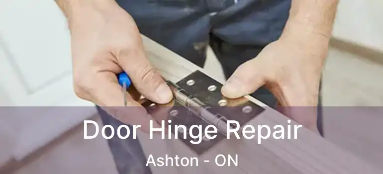  Door Hinge Repair Ashton - ON