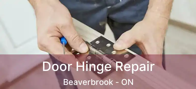  Door Hinge Repair Beaverbrook - ON