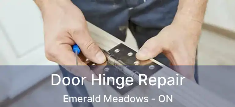  Door Hinge Repair Emerald Meadows - ON