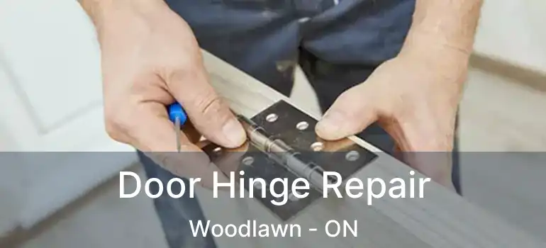  Door Hinge Repair Woodlawn - ON