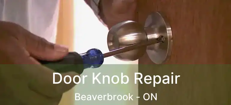  Door Knob Repair Beaverbrook - ON
