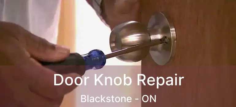  Door Knob Repair Blackstone - ON