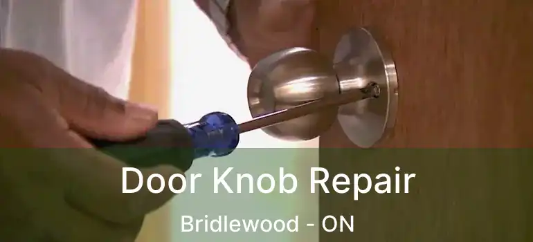  Door Knob Repair Bridlewood - ON