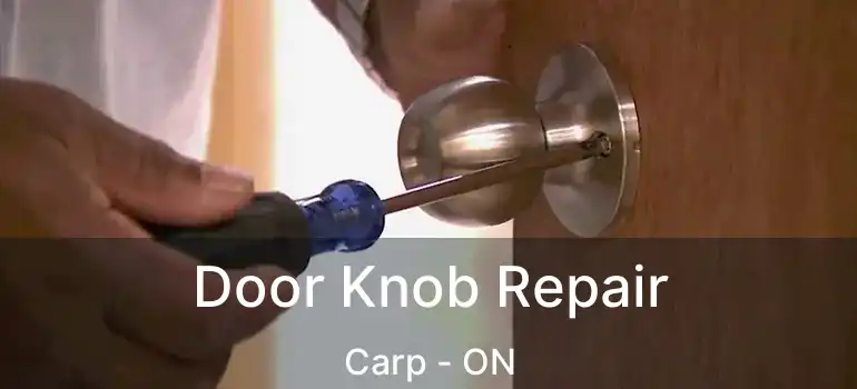  Door Knob Repair Carp - ON
