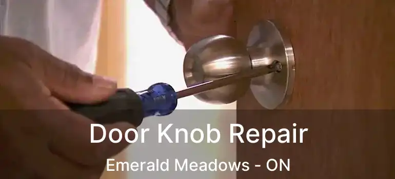  Door Knob Repair Emerald Meadows - ON